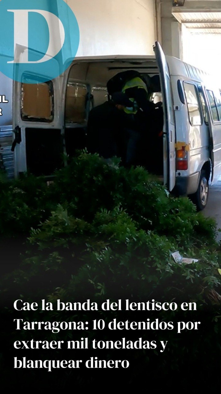 Cae la banda del lentisco en Tarragona: 10 detenidos por extraer mil toneladas y blanquear dinero