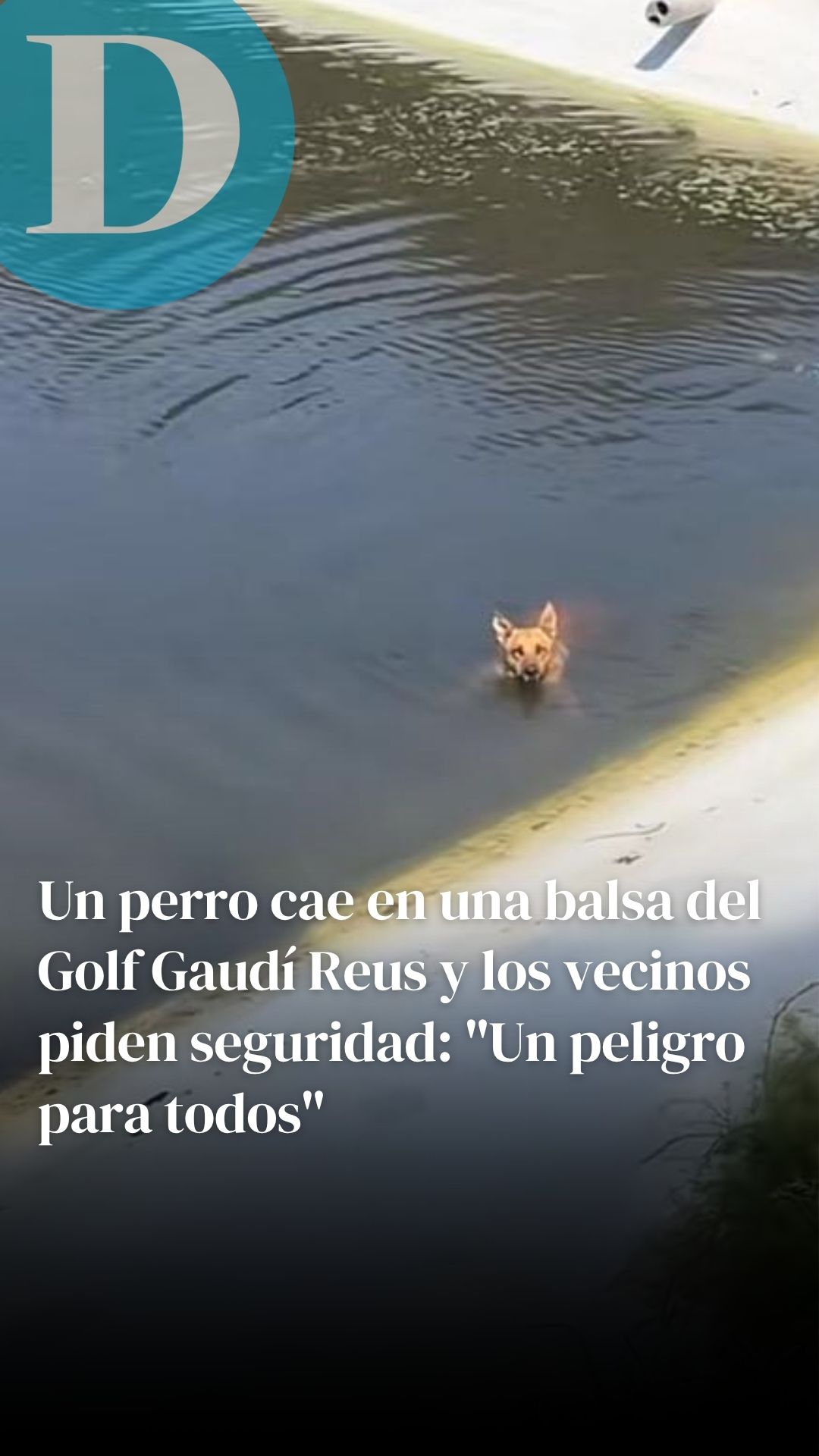 Un perro cae en una balsa del Golf Gaudí Reus y los vecinos piden seguridad: "Un peligro para todos"