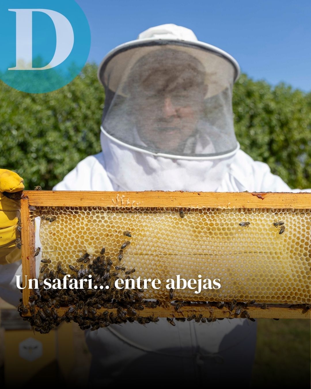 https://www.diaridetarragona.com/economia/255696/safari-abejas-api-experience-mel-el-remei.html