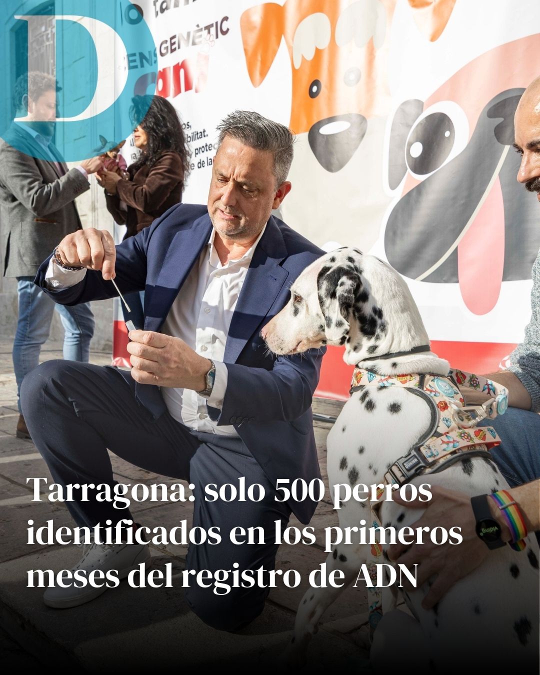 Tarragona: solo 500 perros identificados en los dos primeros meses del registro de ADN