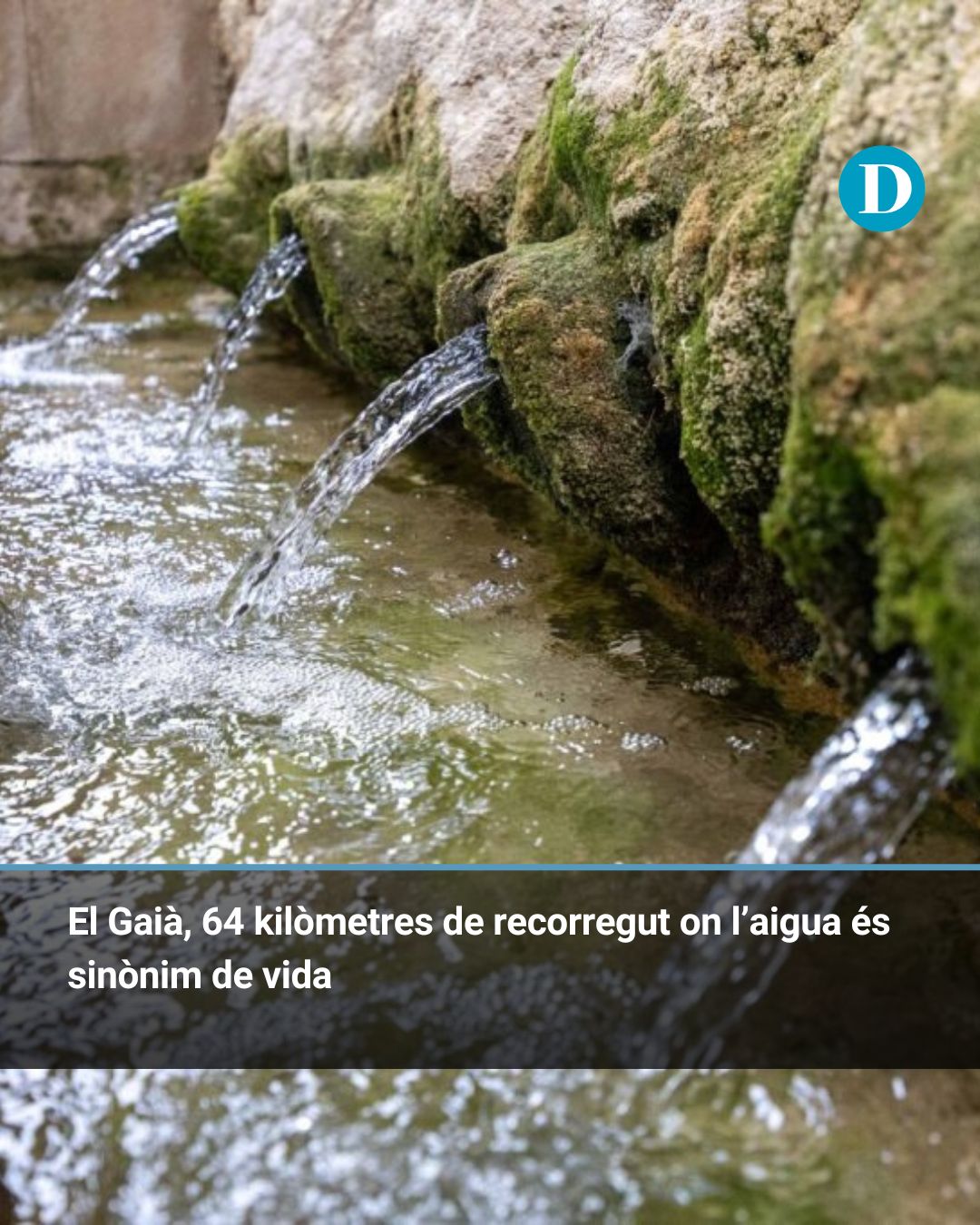 El Gaià, 64 kilòmetres de recorregut on l’aigua és sinònim de vida