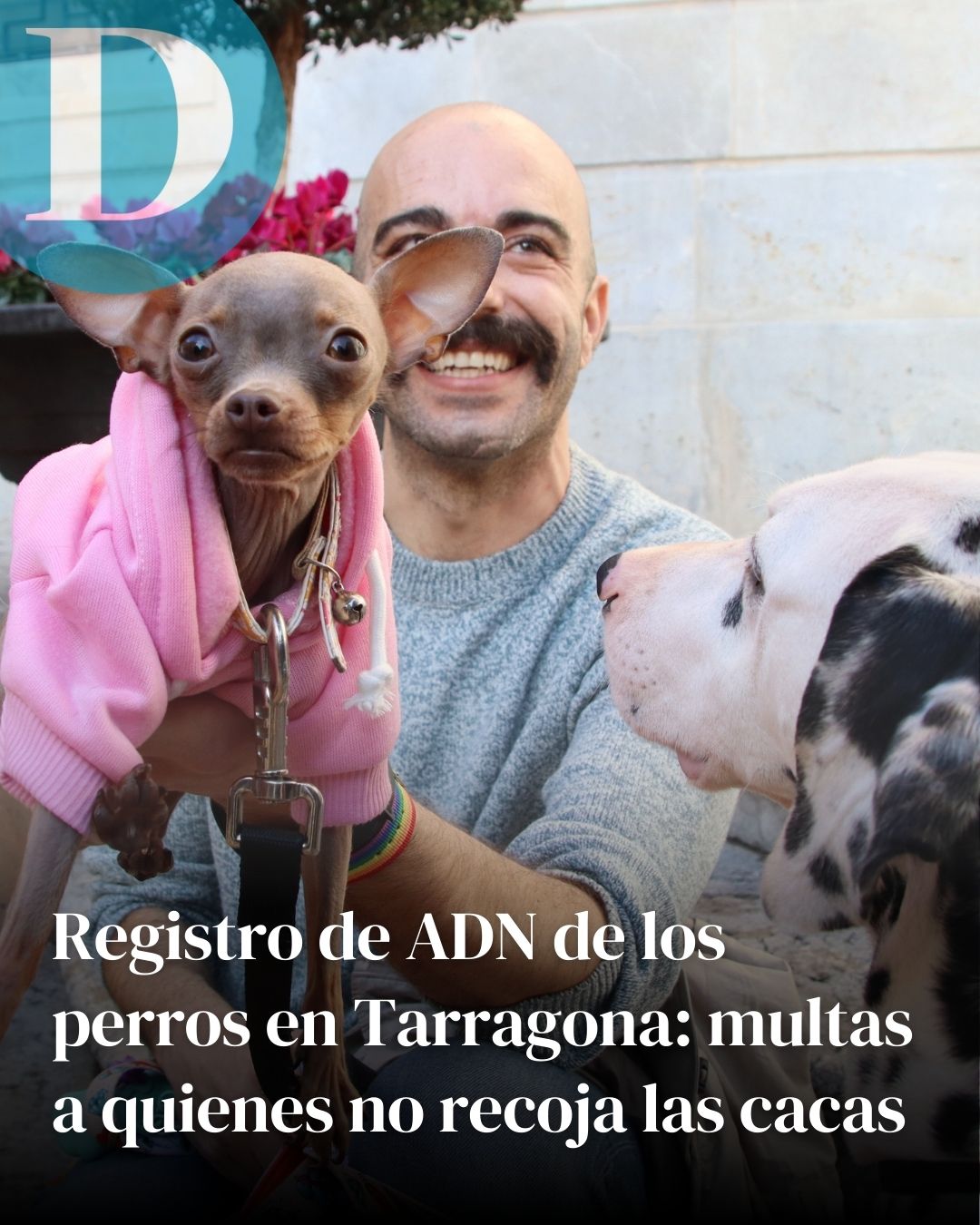 Tarragona usará el ADN en las cacas de los perros para multar a sus dueños a partir de septiembre