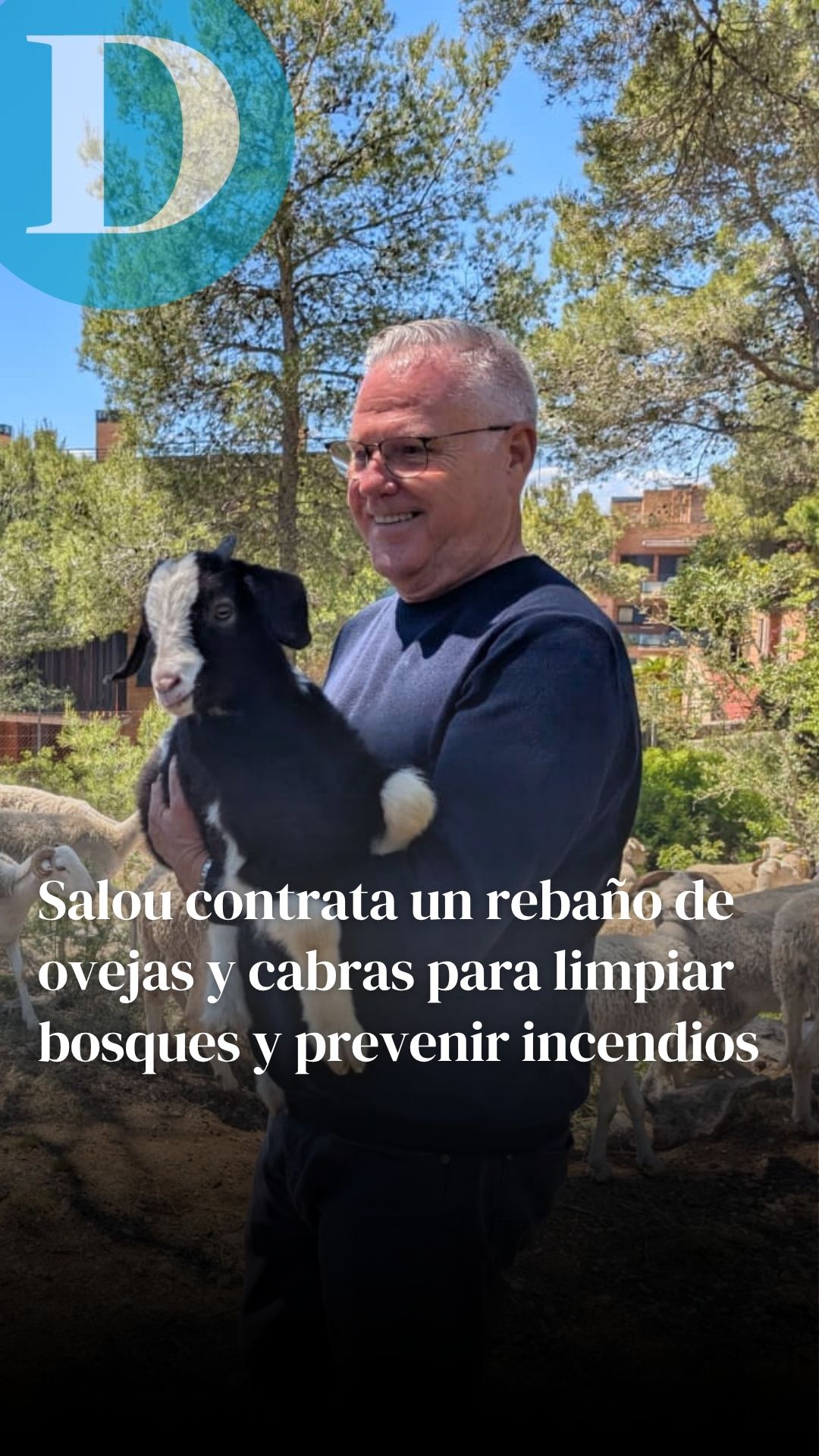 Salou contrata un rebaño de ovejas y cabras para limpiar bosques y prevenir incendios