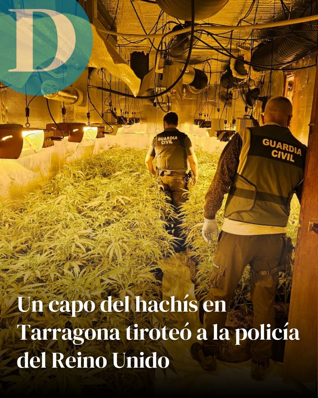 Un jefe del laboratorio de polvo de hachís pionero en Tarragona disparó contra la policía del Reino Unido