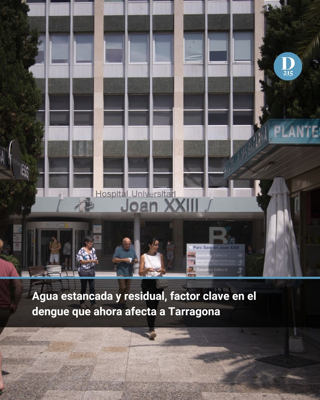 Agua estancada y residual, factor clave en el dengue que ahora afecta a Tarragona