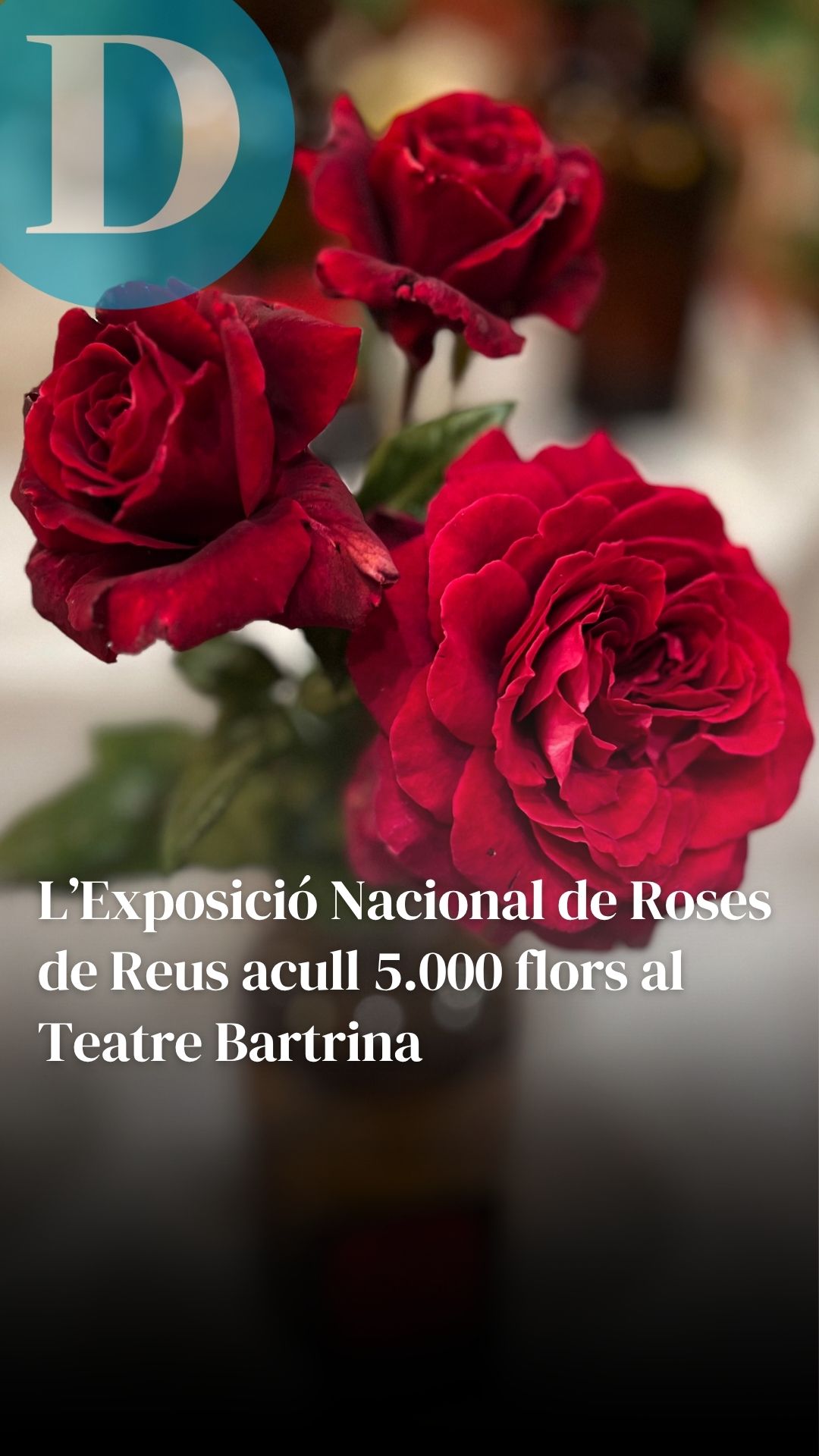 5.000 roses floreixen al Teatre Bartrina en la 79a Exposició Nacional de Roses de Reus