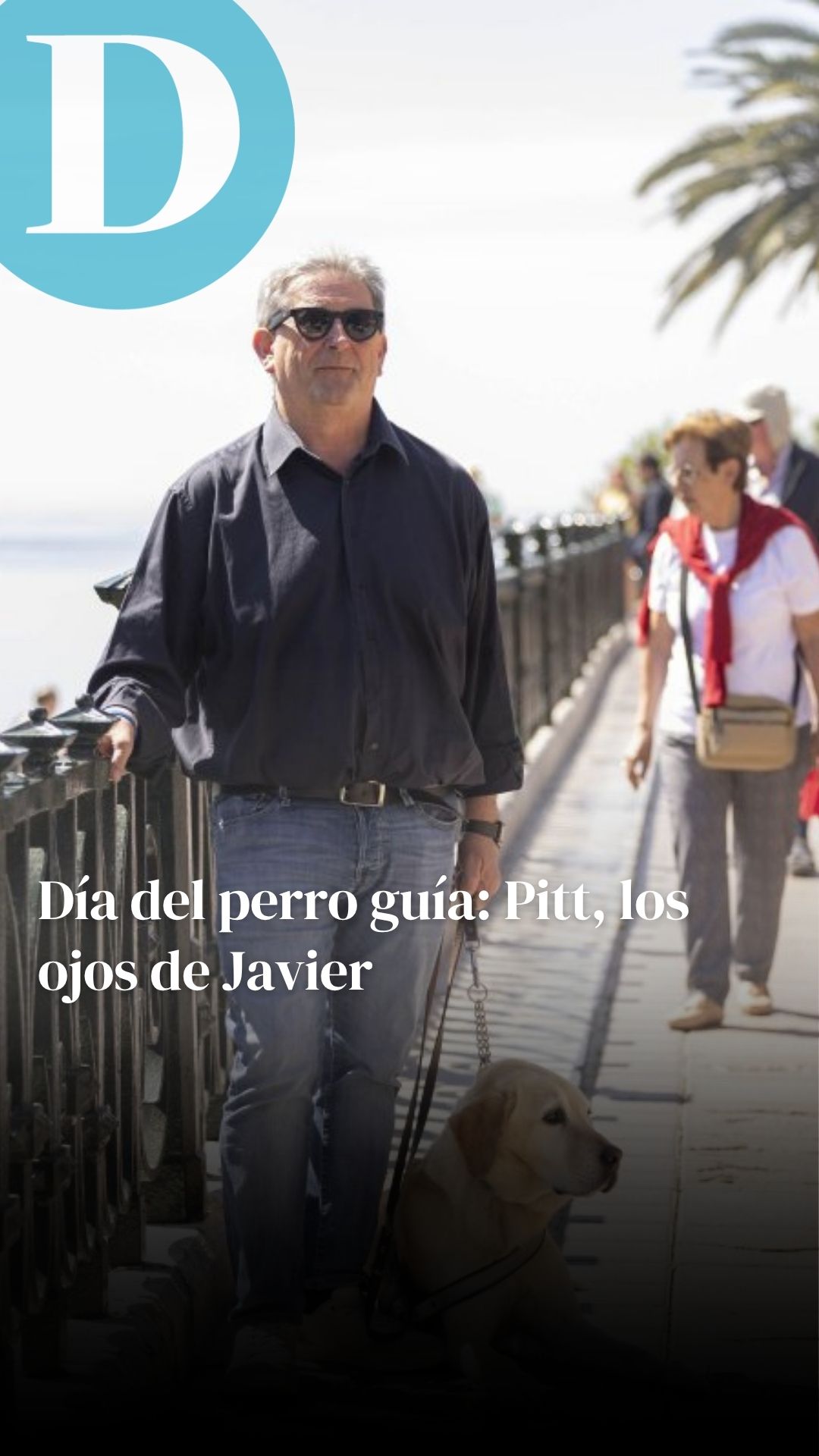 Día del perro guía: Pitt, los ojos de Javier